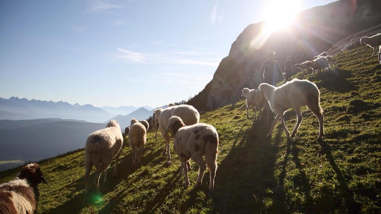 Alpen Quartier Lägenhet Uderns Exteriör bild