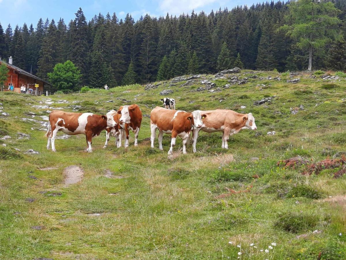 Alpen Quartier Lägenhet Uderns Exteriör bild