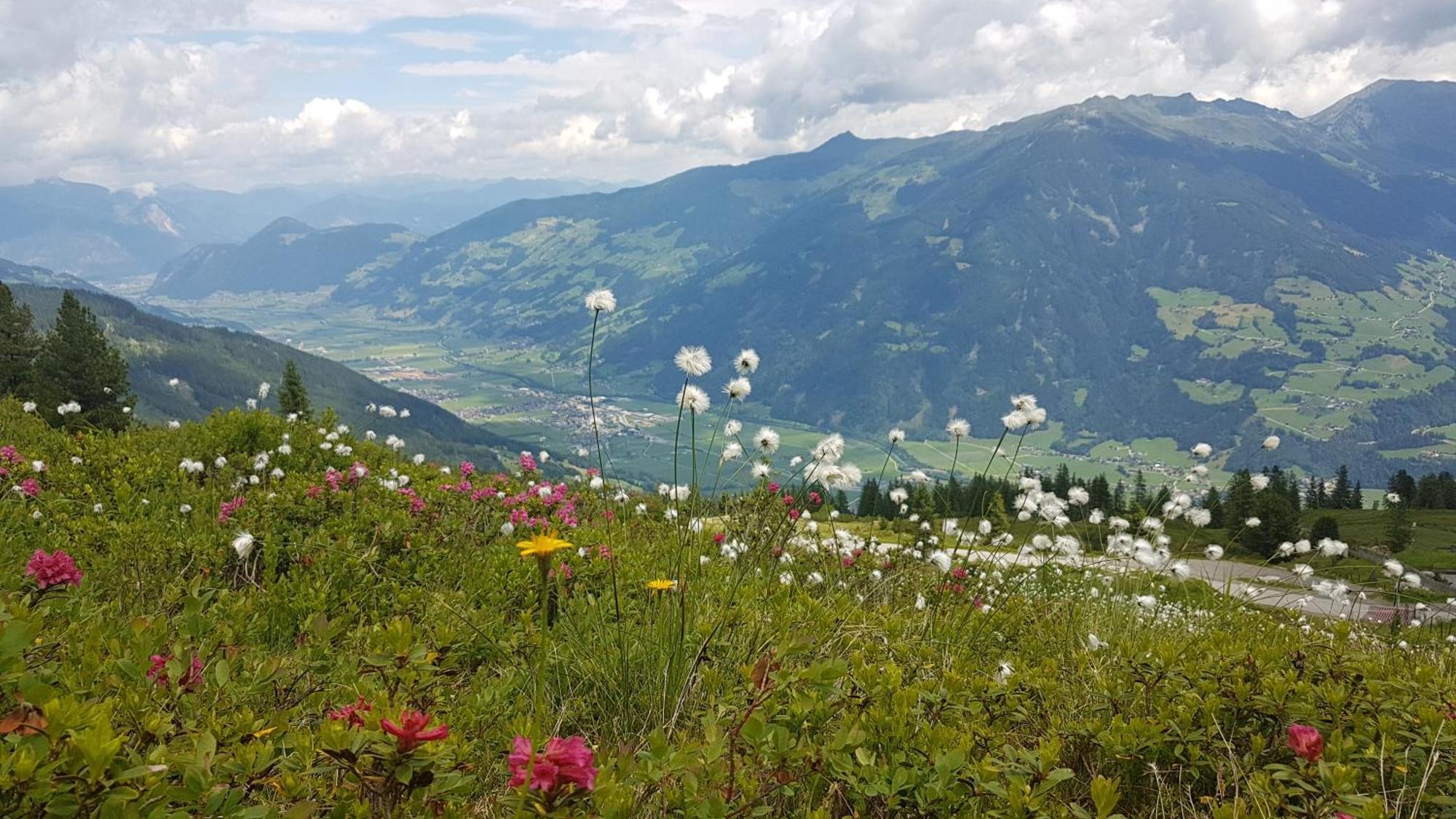 Alpen Quartier Lägenhet Uderns Exteriör bild